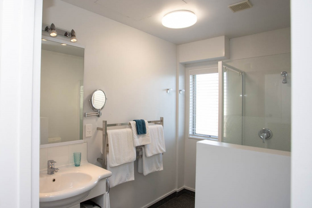 Studio bathroom with sink, mirror, towel rail and shower